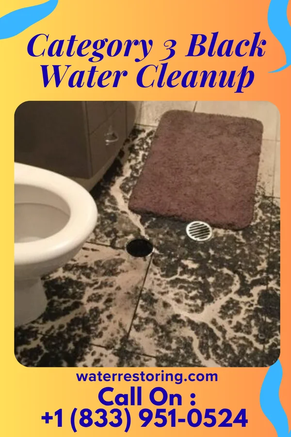 Category 3 Black Water Cleanup in East Nassau, NY