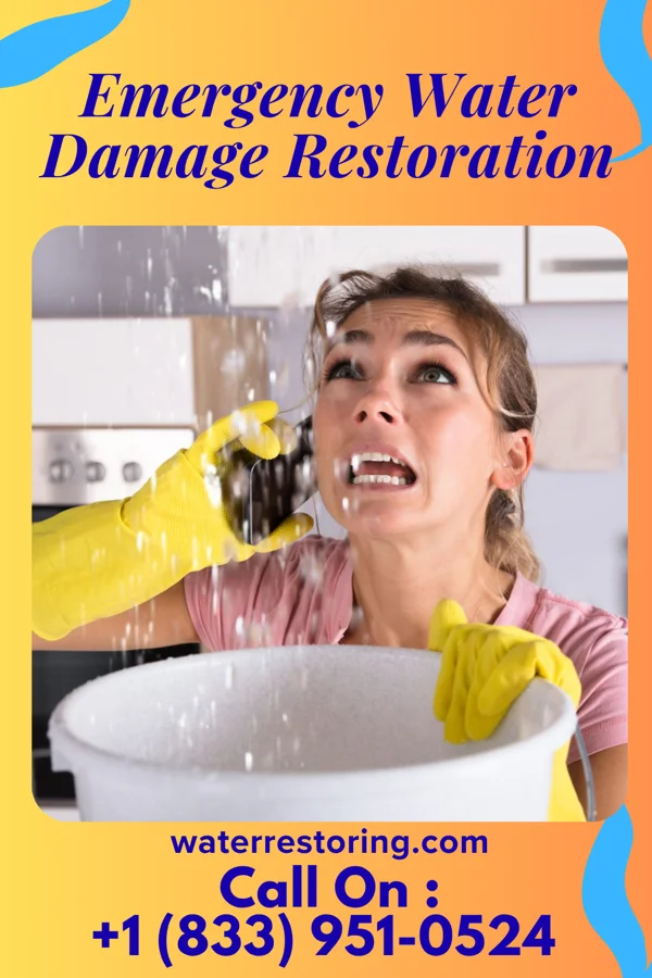 Emergency Water Damage Restoration in East Nassau, NY