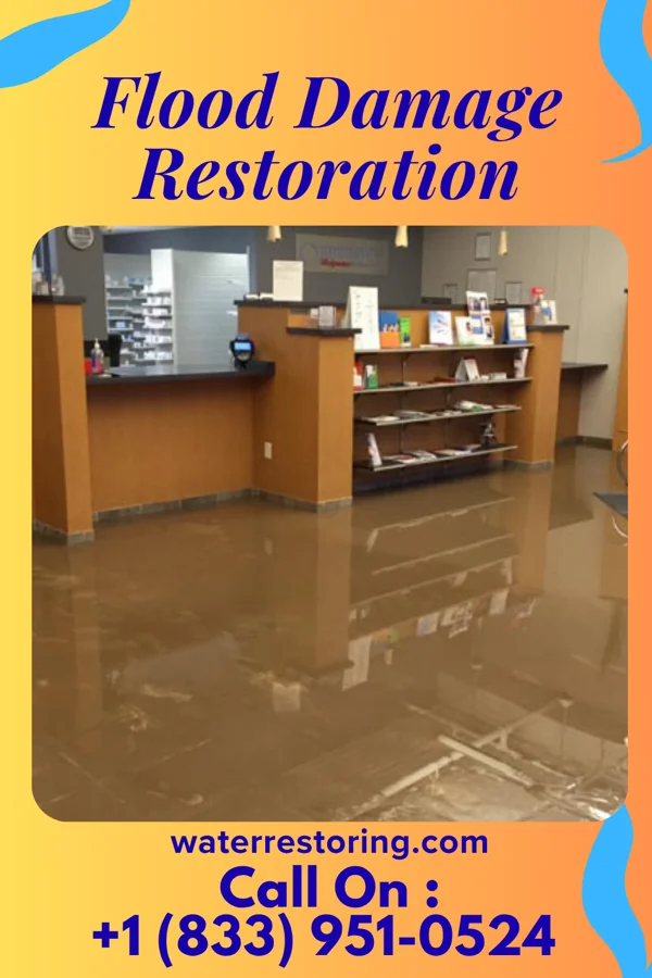 Flood Damage Restoration in East Nassau, NY