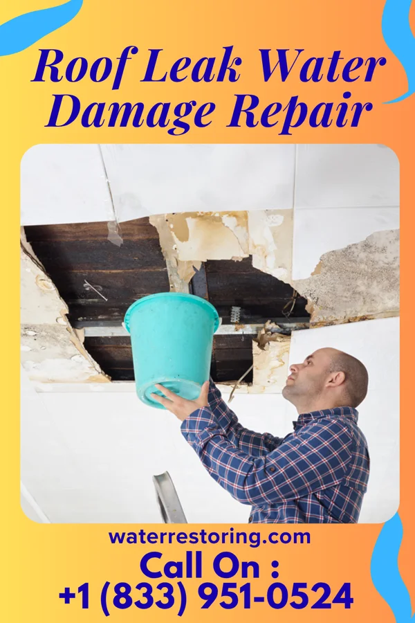 Roof Leak Water Damage Repair in East Nassau, NY