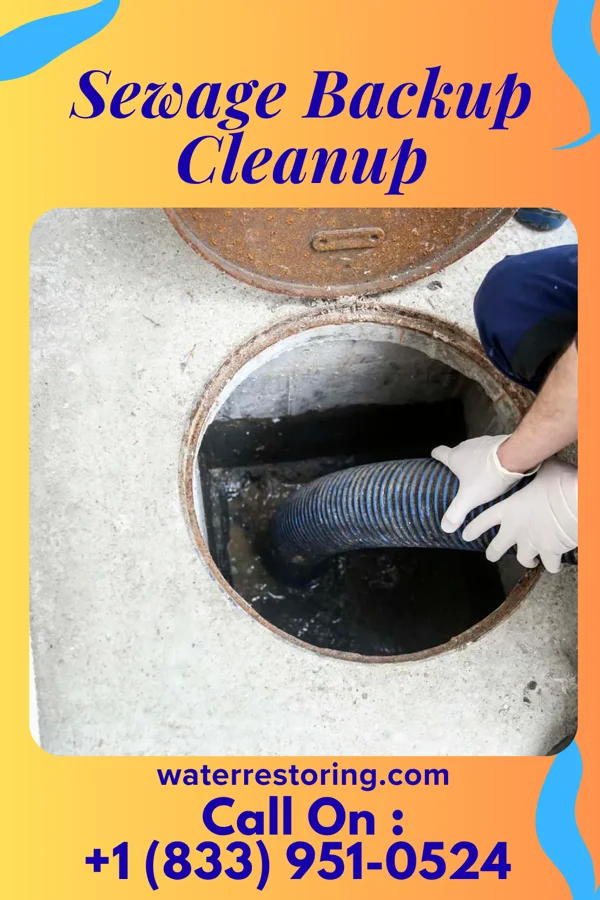 Sewage Backup Cleanup in East Nassau, NY